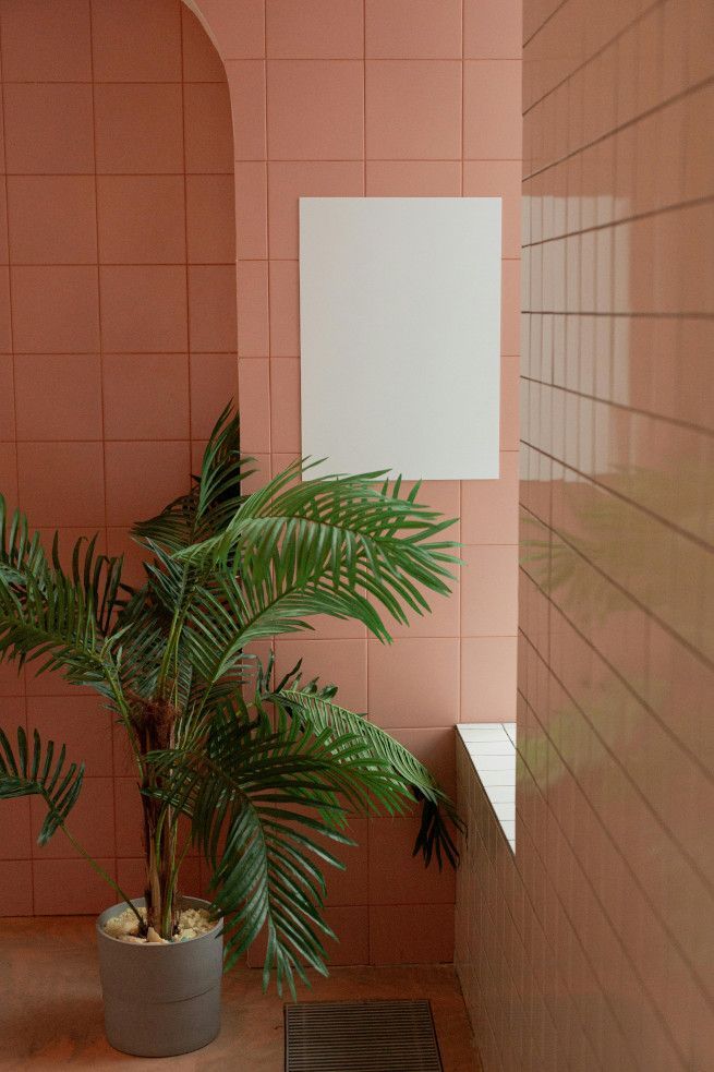Pink tiled walls adding a unique touch to a Swansea apartment.